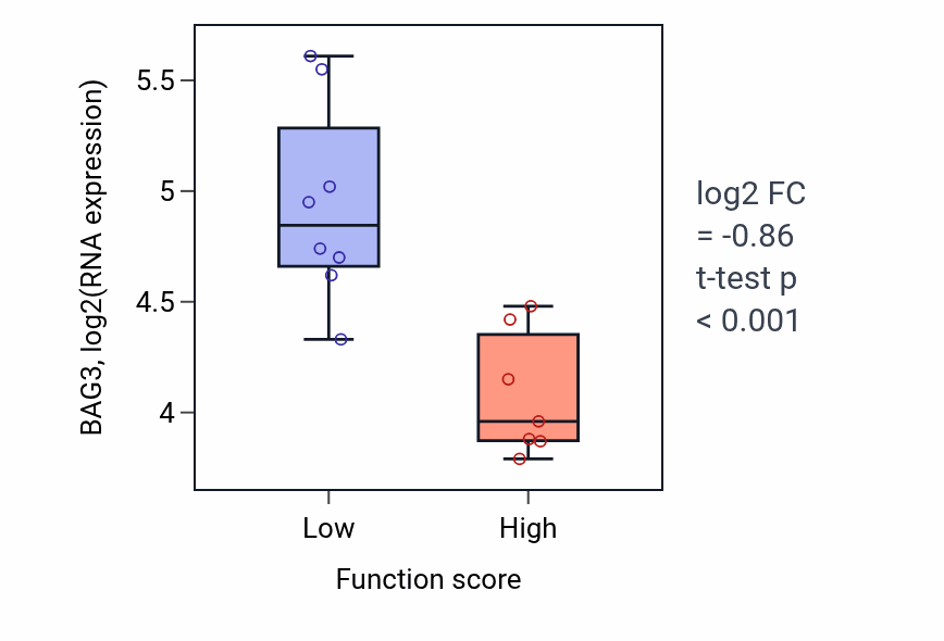 Box plot of BAG3 in Positive regulation of cell migration involved in sprouting angiogenesis-low vs -high samples in BONE.
