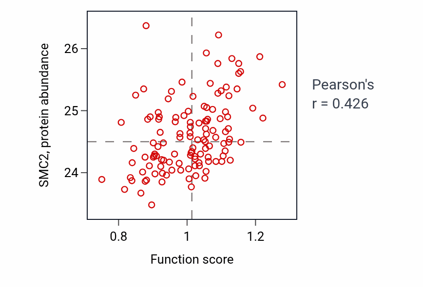 Per-sample scatter of Positive regulation of synapse maturation activity vs SMC2 in BRCA.