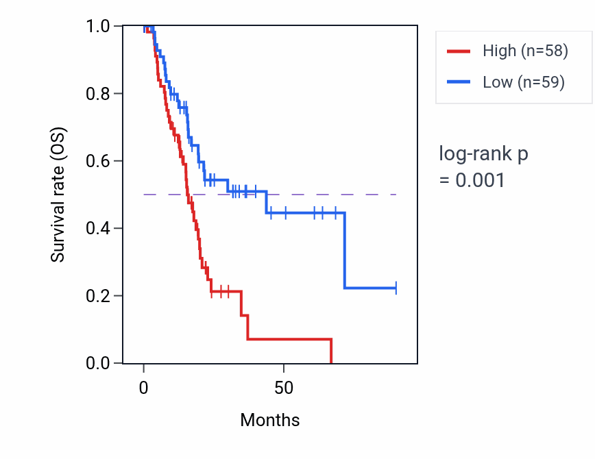 Kaplan&ndash;Meier survival curve for Regulation of kidney development pathway activity in PAAD: high vs low activity groups.