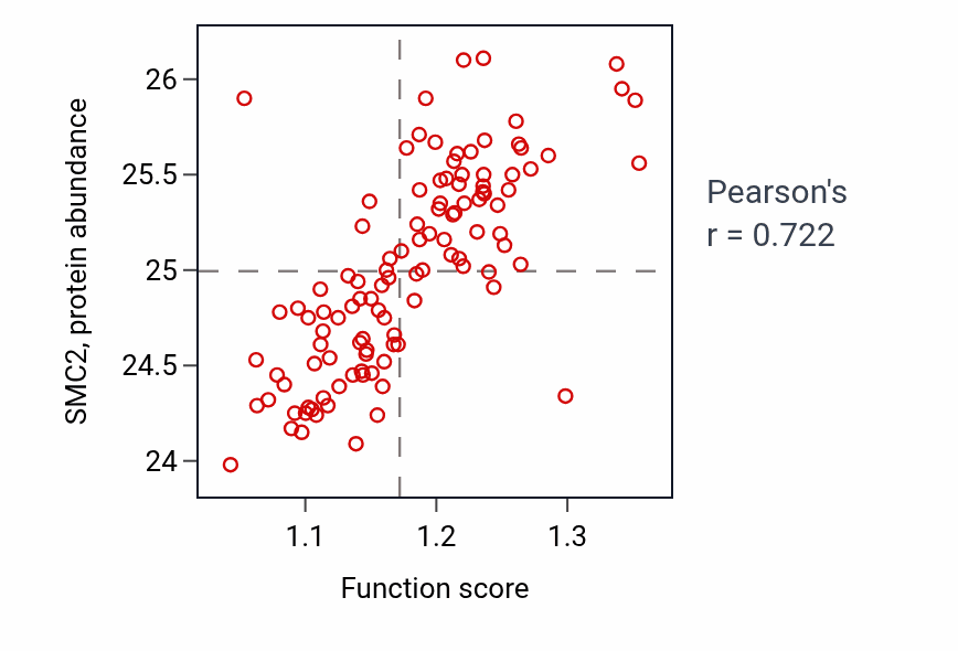 Per-sample scatter of Regulation of DNA-templated DNA replication activity vs SMC2 in LUAD.
