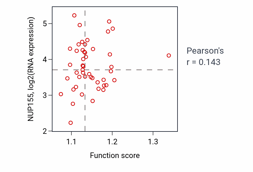 Per-sample scatter of Protein localization to nuclear envelope activity vs NUP155 in DLBC.