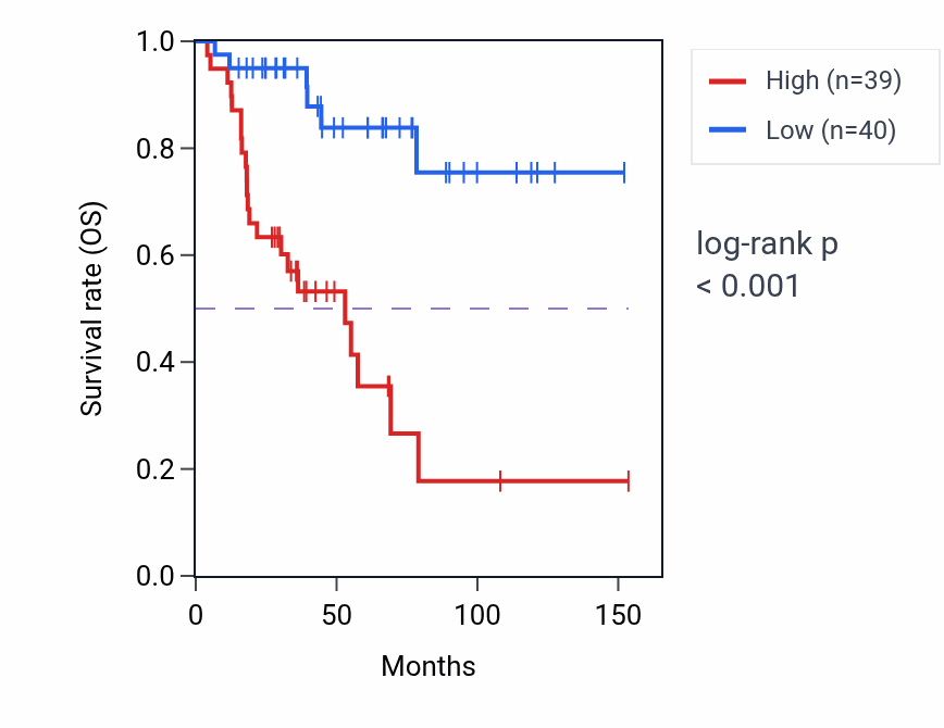 Kaplan&ndash;Meier survival curve for Protein localization to nuclear envelope pathway activity in ACC: high vs low activity groups.