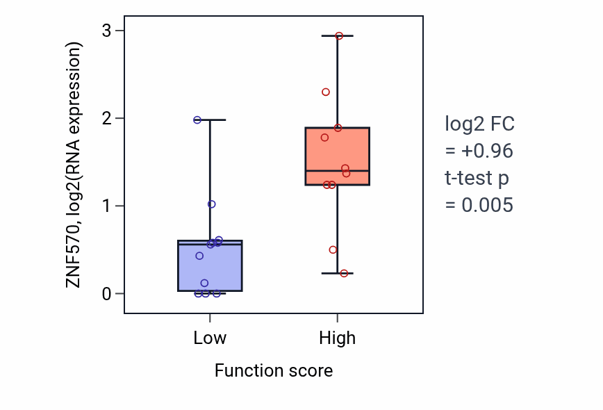 Box plot of ZNF570 in Chromosome attachment to the nuclear envelope-low vs -high samples in PANCREAS.