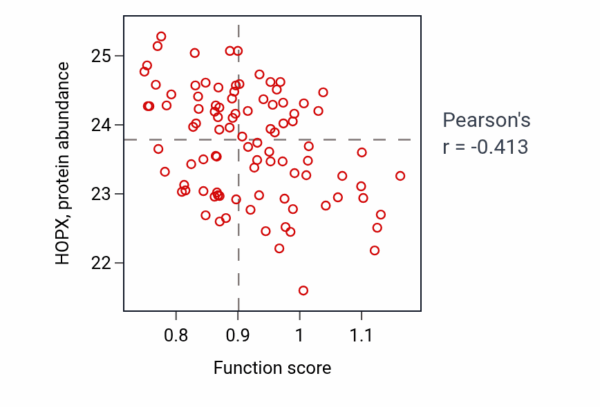 Per-sample scatter of L-arginine import across plasma membrane activity vs HOPX in COAD.