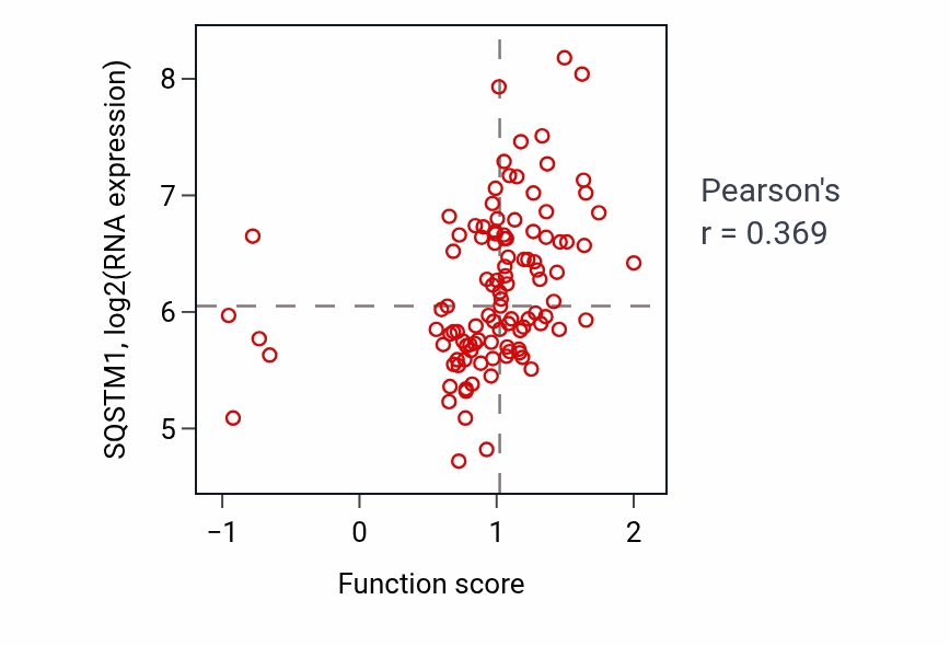 Per-sample scatter of Response to mitochondrial depolarisation activity vs SQSTM1 in LSCC.