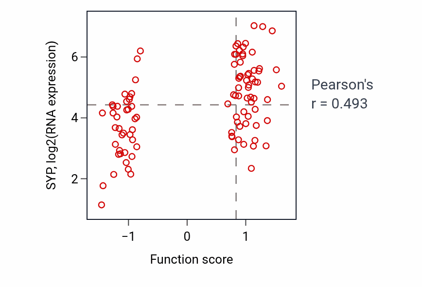 Per-sample scatter of Synaptic signaling via neuropeptide activity vs SYP in GBM.