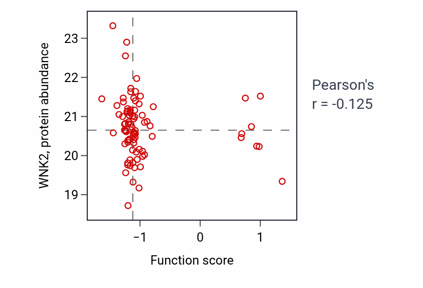 Per-sample scatter of Synaptic signaling via neuropeptide activity vs WNK2 in HNSC.