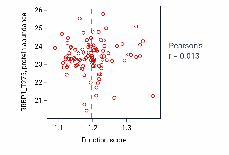 Per-sample scatter of Regulation of heterochromatin organization activity vs RRBP1_T275 in CCRCC.