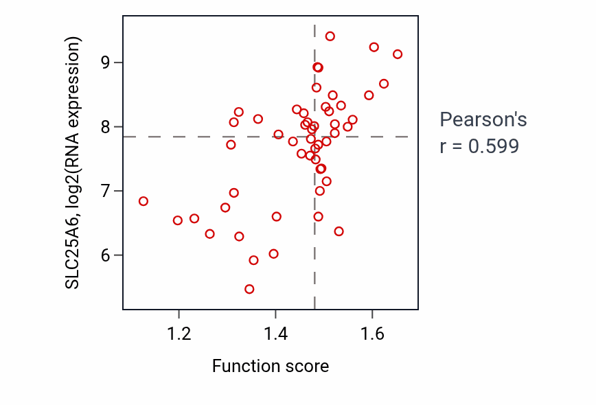 Per-sample scatter of Mitochondrial ADP transmembrane transport activity vs SLC25A6 in LUNG_NSCLC_LUAD.