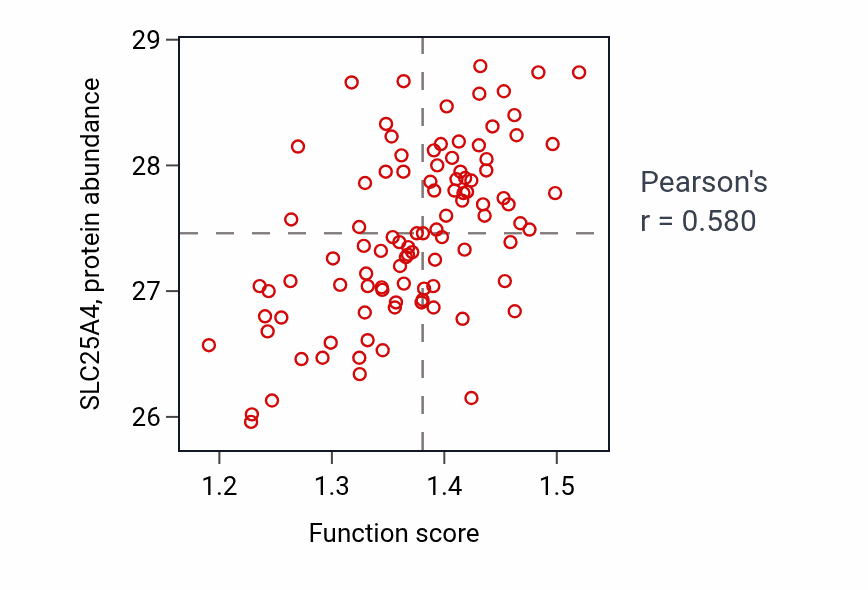 Per-sample scatter of Mitochondrial ADP transmembrane transport activity vs SLC25A4 in GBM.