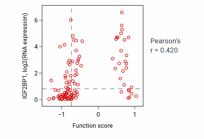 Per-sample scatter of Dendrite arborization activity vs IGF2BP1 in LSCC.