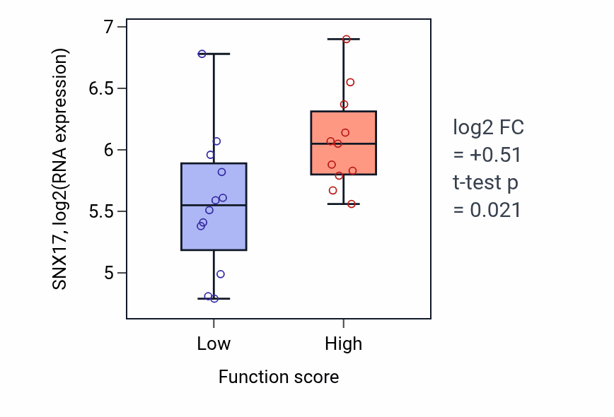 Box plot of SNX17 in Positive regulation of neuron projection arborization-low vs -high samples in OESOPHAGUS.