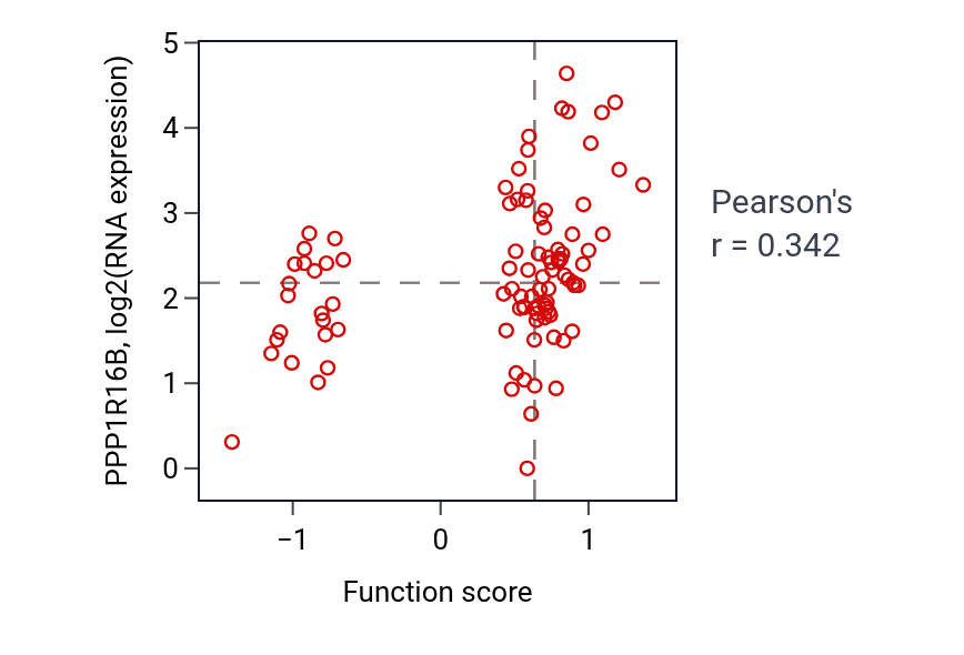 Per-sample scatter of Negative regulation of ruffle assembly activity vs PPP1R16B in UCEC.