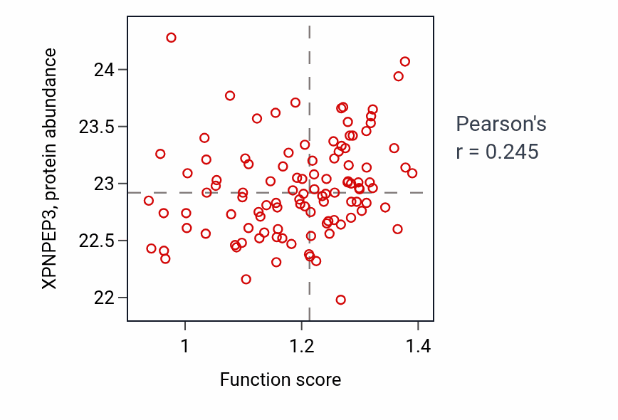 Per-sample scatter of Positive regulation of ruffle assembly activity vs XPNPEP3 in HNSC.