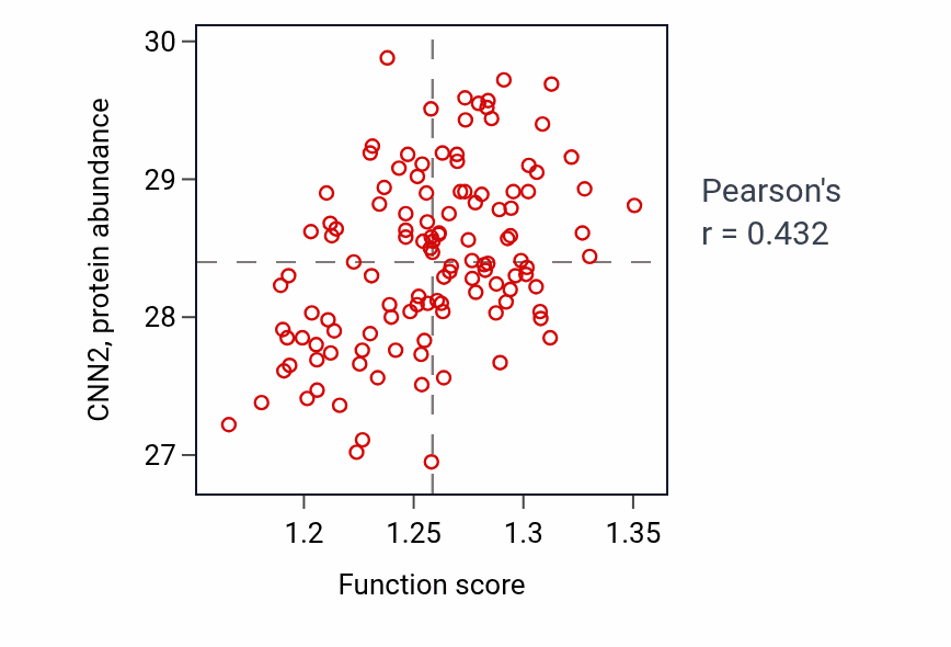 Per-sample scatter of Regulation of protein localization to nucleus activity vs CNN2 in BRCA.