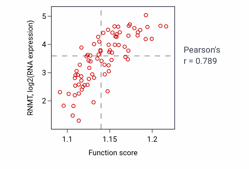 Per-sample scatter of Regulation of protein localization to nucleus activity vs RNMT in UVM.