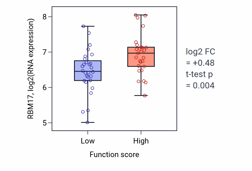 Box plot of RBM17 in Negative regulation of relaxation of muscle-low vs -high samples in BREAST.