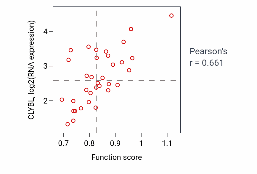 Per-sample scatter of Regulation of tetrapyrrole metabolic process activity vs CLYBL in KIDNEY.