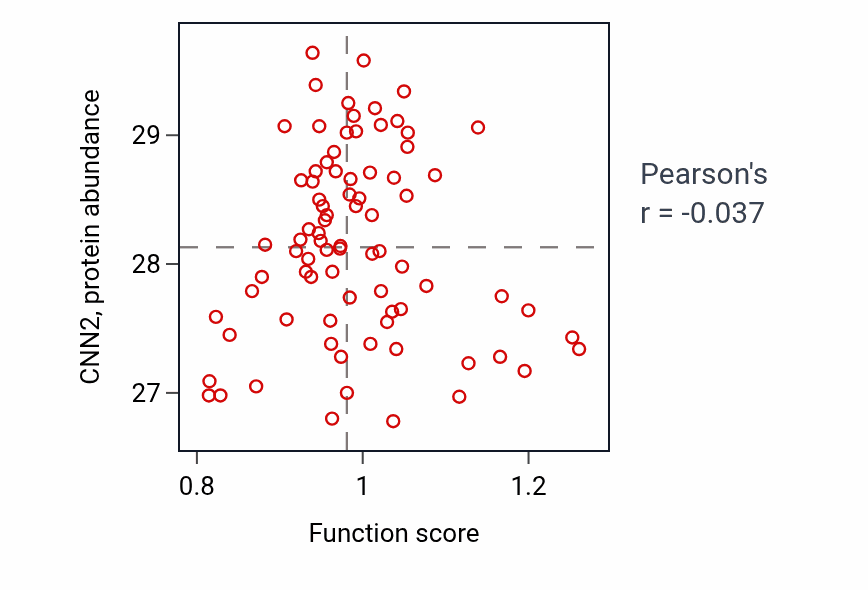Per-sample scatter of Regulation of endothelial tube morphogenesis activity vs CNN2 in OV.
