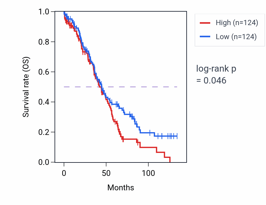 Kaplan&ndash;Meier survival curve for Positive regulation of mitophagy pathway activity in OV: high vs low activity groups.