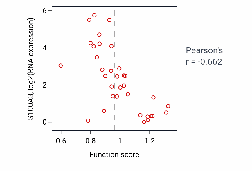 Per-sample scatter of Regulation of mitotic spindle assembly activity vs S100A3 in SKIN.