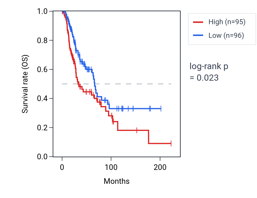 Kaplan&ndash;Meier survival curve for L-alanine transmembrane transport pathway activity in SKCM: high vs low activity groups.