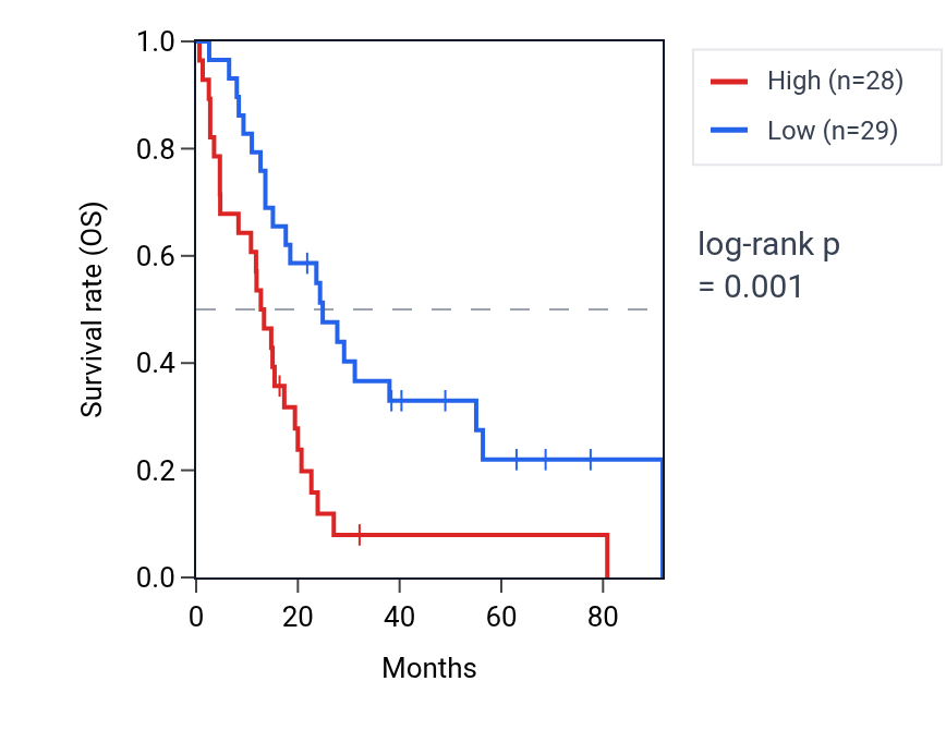 Kaplan&ndash;Meier survival curve for Amyloid fibril formation pathway activity in MESO: high vs low activity groups.