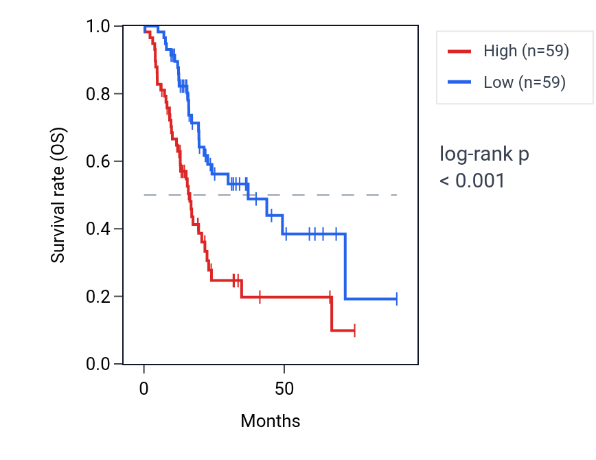 Kaplan&ndash;Meier survival curve for Gap junction-mediated intercellular transport pathway activity in PAAD: high vs low activity groups.