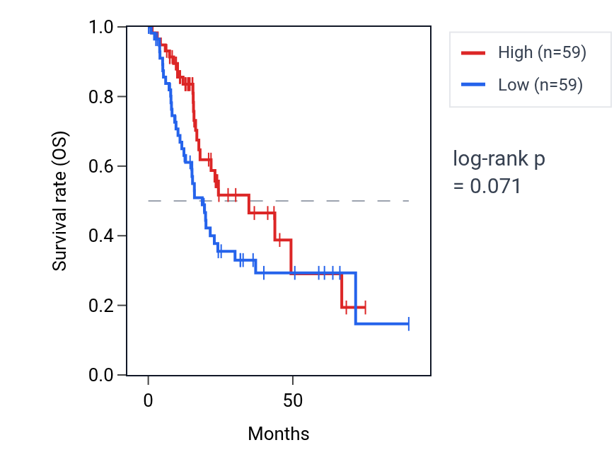 Kaplan&ndash;Meier survival curve for Lipid transport across blood-brain barrier pathway activity in PAAD: high vs low activity groups.