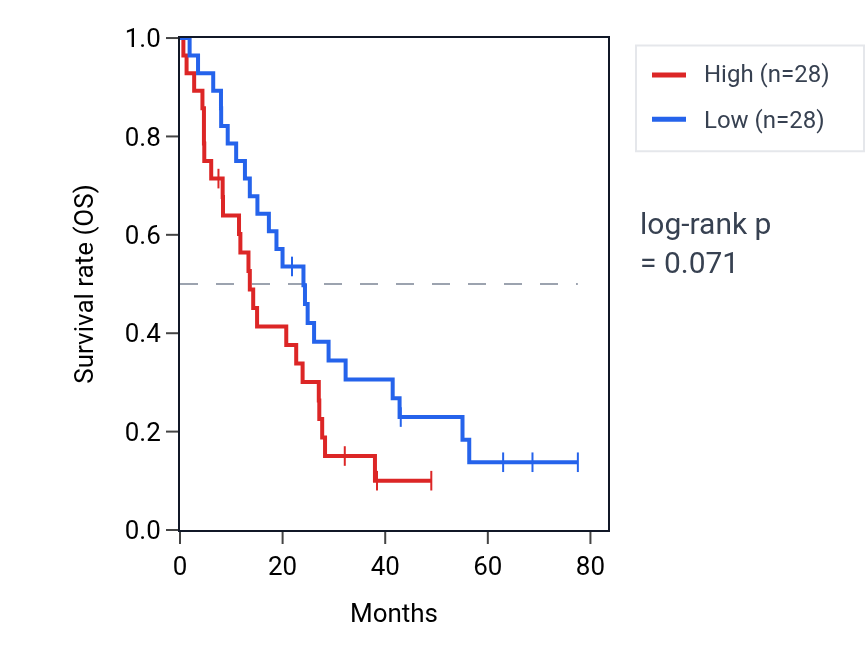 Kaplan&ndash;Meier survival curve for Response to angiotensin pathway activity in MESO: high vs low activity groups.