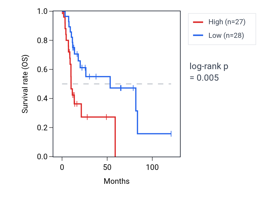 Kaplan&ndash;Meier survival curve for Positive regulation of cytoplasmic translation pathway activity in LIHC: high vs low activity groups.