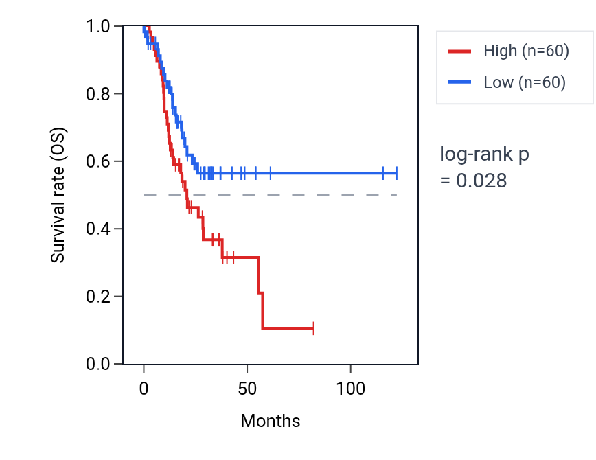 Kaplan&ndash;Meier survival curve for Regulation of synaptic vesicle clustering pathway activity in STAD: high vs low activity groups.