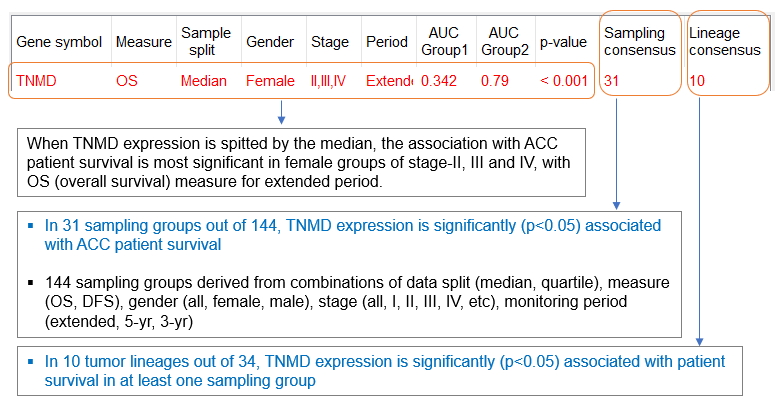 TNMD Table Example