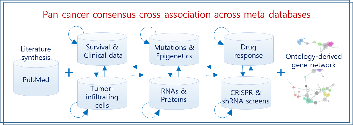 Q-omics 3 Data Integration and Analysis Workflow Diagram