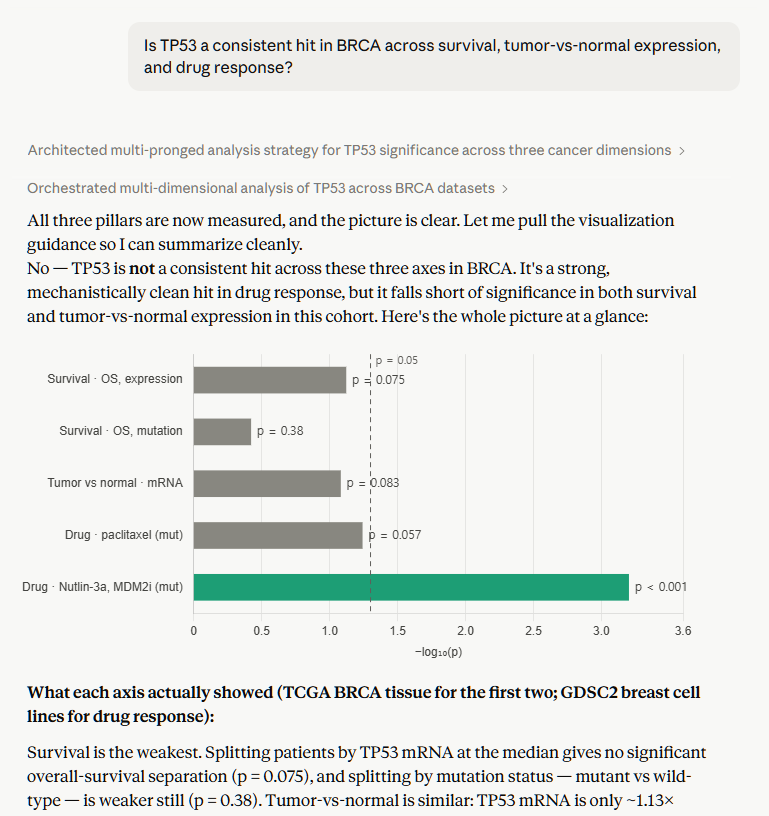 An LLM assessing whether TP53 is a consistent hit in BRCA across survival, tumor-vs-normal expression and drug response, with a −log10(p) bar chart per axis.